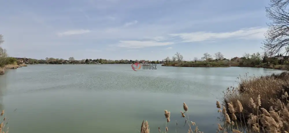 Pest megye - Délegyháza