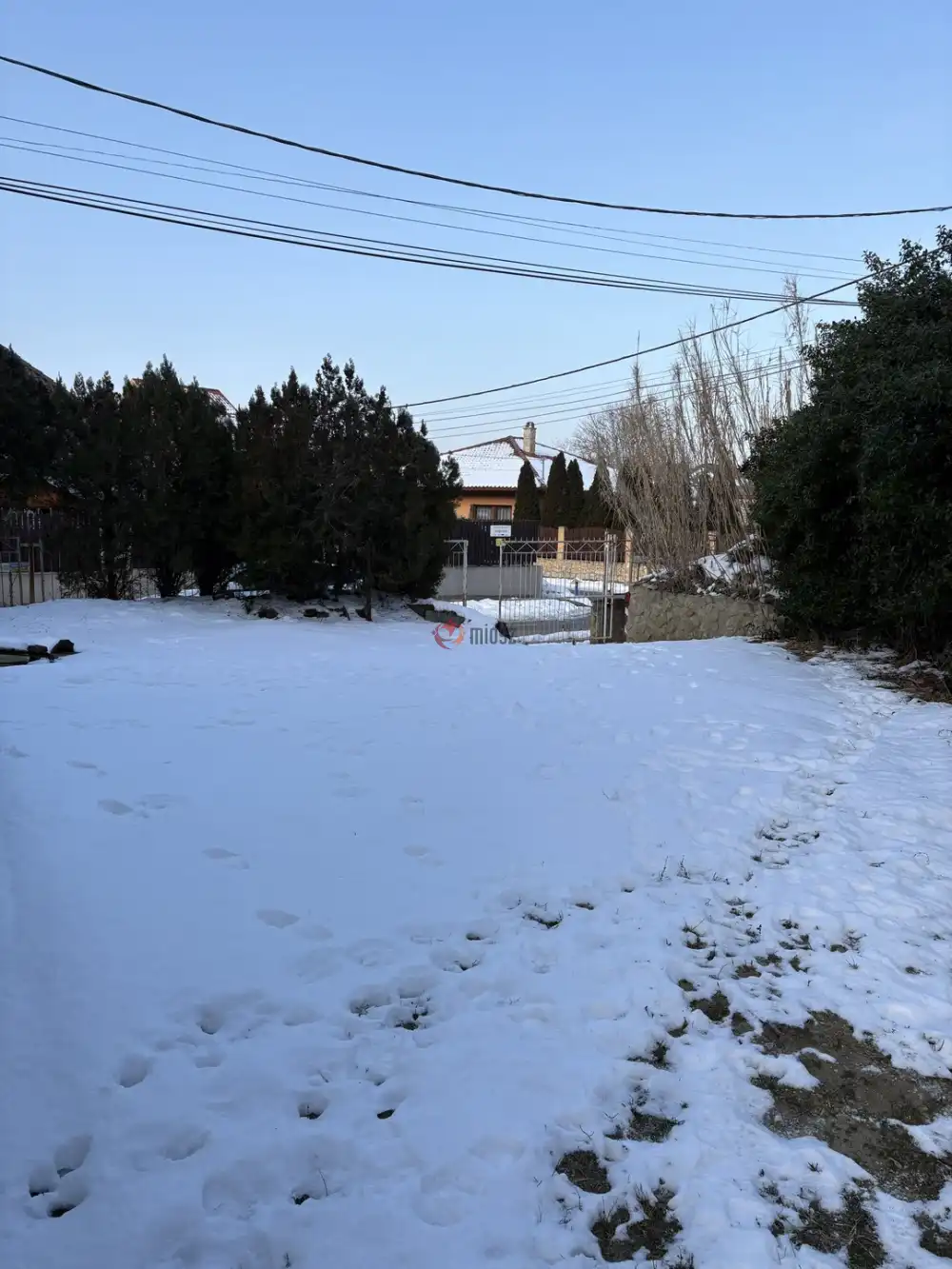 Budapest, XXI. kerület - Királyerdő