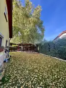 Pest megye - Szigetszentmiklós