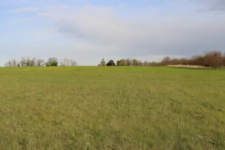 Eladó mezőgazdasági ingatlan, Fót 65700 m² 159.9 M Ft